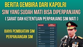 Berita gembira  SIM mati bisa diperpanjang tanpa bikin SIM Baru berikut ini persyaratannya [upl. by Inva]