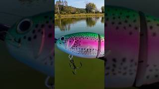 Will The 20 TROUT Glide Bait Catch Fish NASPELTZ [upl. by Novek]