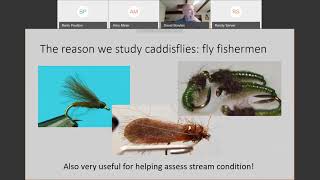 Introduction to EPTs  Trichoptera Caddisflies [upl. by Mitzl182]