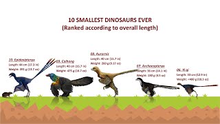 10 Smallest Dinosaurs Ever Discovered Avian Dinosaurs [upl. by Aleusnoc]