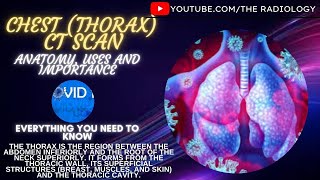 Chest Thorax CT Scan Anatomy uses and importance [upl. by Ecnarf]