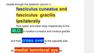 Astereognosis stereognosis two point discrimination graphesthesia Dejerine–Roussy syndrome [upl. by Odlanyer]