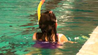 20131101 Sophia haalt Snorkelen 1 [upl. by Rosamund]