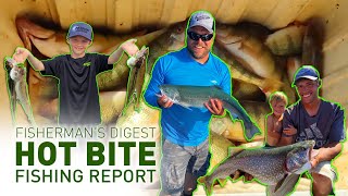 Monroe Walleye Fishing Reports Tawas Alpena amp More Hot Bite Fishing Report  Aug 25th [upl. by Nnaeilsel]