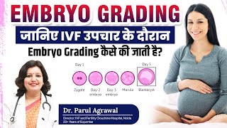 IVF उपचार के दौरान Embryo Grading कैसे की जाती है How is Embryo Grading Done During IVF [upl. by Bucher79]