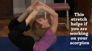 Flexibility Stretches  Upper Body and Back Exercises [upl. by Anilram766]