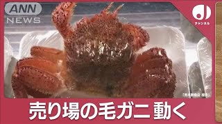 生鮮食品売り場の“毛ガニ”が…突如動き出す しかも一匹だけじゃない！？何コレ！【スーパーJチャンネル】2023年12月6日 [upl. by Maroj]