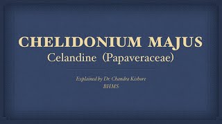 Chelidonium Majus  Allen’s Keynotes  Well Explained [upl. by Daggett]