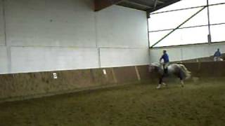 B B King Trakehner Sprung 8 10 [upl. by Wootten]