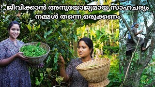 നമുക്ക് ജീവിക്കാൻ അനുയോജ്യമായ സാഹചര്യം നമ്മൾ തന്നെ ഒരുക്കണംSaranyas beauty vlogsAttappady [upl. by Drona846]