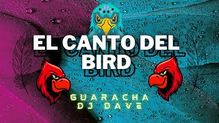 EL CANTO DEL BIRD  DJ DAVE GUARACHA [upl. by Emilio]