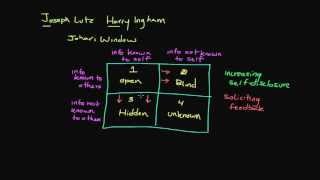 The Johari Window [upl. by Kcirderf]