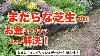 まだらな芝生の庭の悩みを解決！ [upl. by Cerf]