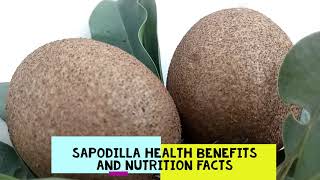 Sapodilla Health Benefits and Nutrition Facts [upl. by Aiuqenehs147]