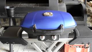 Grillen mit dem Elektrogrill [upl. by Mathia]