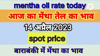 14 अप्रैल 2023 मेंथा ऑयल का आज का भाव mentha oil rate menthaoilratetoday [upl. by Atekan]