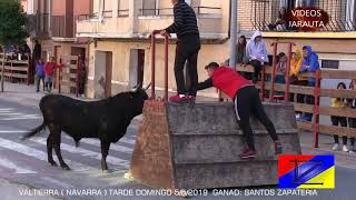 VALTIERRA NAVARRA TARDE VACAS EN LA CALLE DOMINGO 5 MAYO 2019 SANTOS ZAPATERIA [upl. by Lory609]