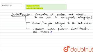 Give an example A denitrifying bacteria  9  ECONOMIC IMPORTANCE OF BACTERIA AND FUNGI  BIOL [upl. by Fiden]