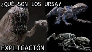 ¿Qué son los Ursa EXPLICACIÓN  Los Ursa de After Earth y sus Origenes EXPLICADOS [upl. by Estevan]