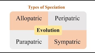 Types of Speciation [upl. by Archy952]