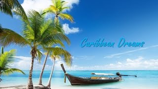 🏖 Best Tropical Caribbean and Steel Drum Music steeldrums [upl. by Lepley126]