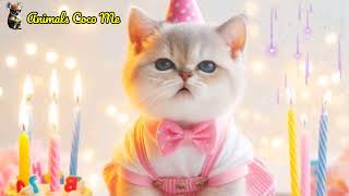 🎁 Meowsical Surprise Pink Kitten’s Birthday Serenade 🎶  Adorable Cute Cat 😺 [upl. by Jennette688]