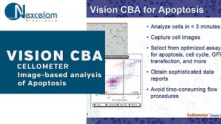 Demonstration ImageBased Analysis of Apoptosis Using Cellometer Vision CBA [upl. by Eustatius]