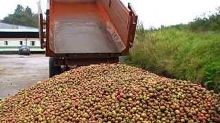 reception de pommes à cidre [upl. by Woodley]