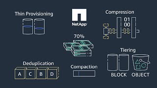 Data Management Services from NetApp Cloud Volumes ONTAP for AWS [upl. by Driskill]