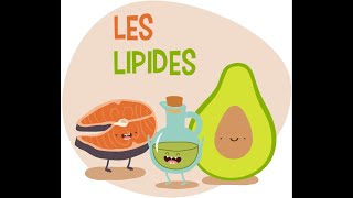 Biochimie  les lipides ملخص رائع لدرس الدسم 🤩❤️  biologie  médecine  pharmacie [upl. by Drawets]