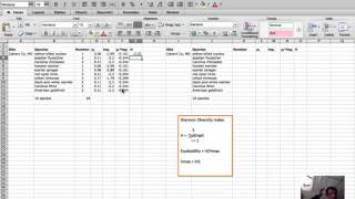 Diversity Calculation  Shannon diversity index and equitability in Excel [upl. by Tenaej]