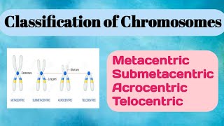 Classification of Chromosomes conceptualgeneticsandbreeding [upl. by Assili]