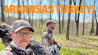 ARKANSAS TURKEY HUNT 2022 [upl. by Hgielrac]