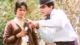 Waheeda Rehman  Best Movie Scenes  Waheeda Rehman and Dilip Kumar Movie Scenes  Ram Aur Shyam [upl. by Aicyla]