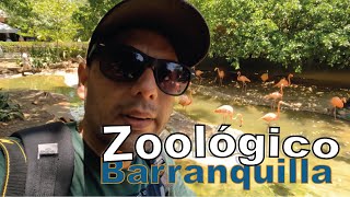 ZOOLOGICO DE BARRANQUILLA 2024 [upl. by Nnylsia]