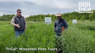 Intro to Wisconsin Plot Tours [upl. by Cimah]