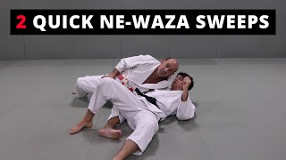 2 Basic NeWaza sweeps [upl. by Darnell]