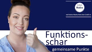 Funktionsschar  Gemeinsame Punkte aller Funktionen bestimmen by einfach mathe [upl. by Griggs]