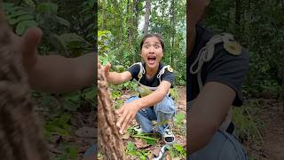 Survival Skills In Forest Kitten rescue survival bushcraft camping outdoors forest kitten [upl. by Portie]