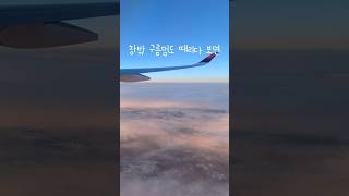 🇺🇸3주동안 미국여행 1탄✈️13시간 비행과 미시간대 기숙사 룸투어💯 [upl. by Aitetel497]