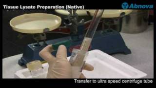 Tissue Lysate Preparation Native [upl. by Jaala]