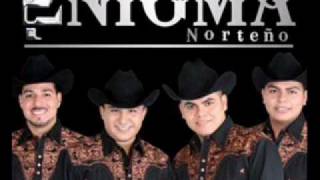 enigma norteno elondeado ylapecheraajustada [upl. by Leno]