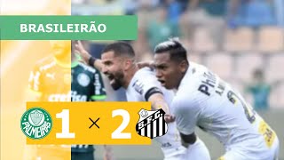 PALMEIRAS 1 X 2 SANTOS  CAMPEONATO BRASILEIRO 2023 VEJA OS GOLS [upl. by Schultz]