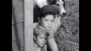 Lassie  Episode 165  quotBeholdenquot  Season 5 Ep 22  02011959 [upl. by Guenevere]