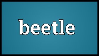 Beetle Meaning [upl. by Stirling]