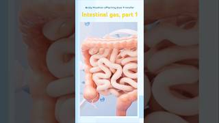 Intestinal gas part 1shortvideoshortsshortvideoshortsvideonobthagazcolon [upl. by Runkel]