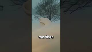 Snow time lapse during blizzard [upl. by Gamaliel]