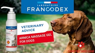 VETERINARY ADVICE  How to apply arnica gel on my dog  Francodex [upl. by Brownley]