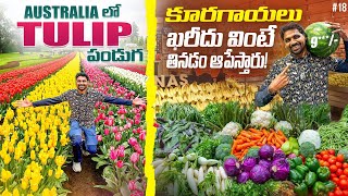 Vegetables amp Fruits Market In Melbourne  Tulip 🌷 Festival In Australia 🇦🇺  Uma Telugu Traveller [upl. by Eehsar]