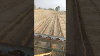 Sowing Of Cluster Beans rainwaterharvesting farmerrain automobile villagelife rain farming n [upl. by Merla]